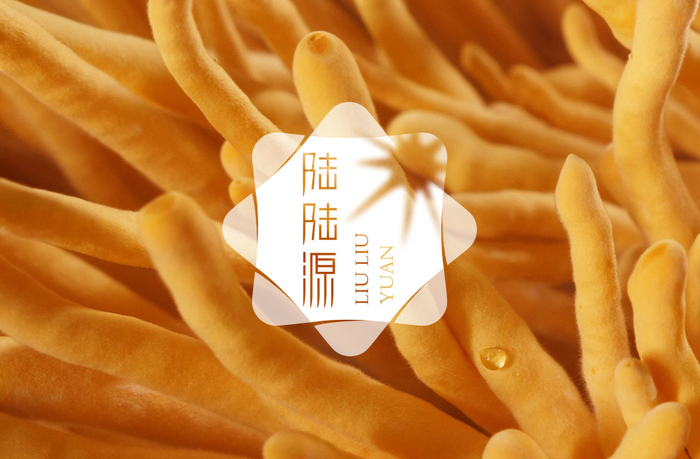 陆陆源 农业｜品牌策略全案