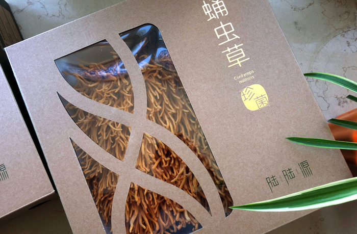 陆陆源 农业｜包装